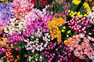 未定名FPS游戏公布演示视频 介绍各种场景破坏效果